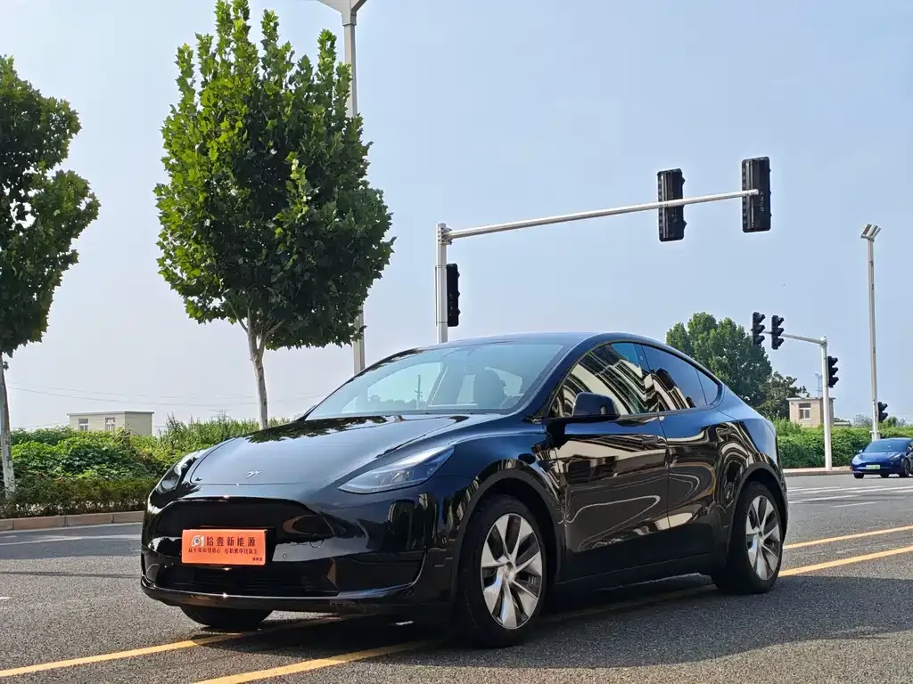 Tesla Model Y — фото 1