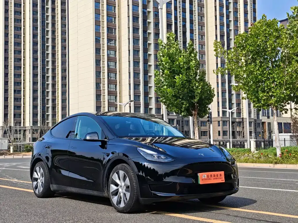 Tesla Model Y — фото 8