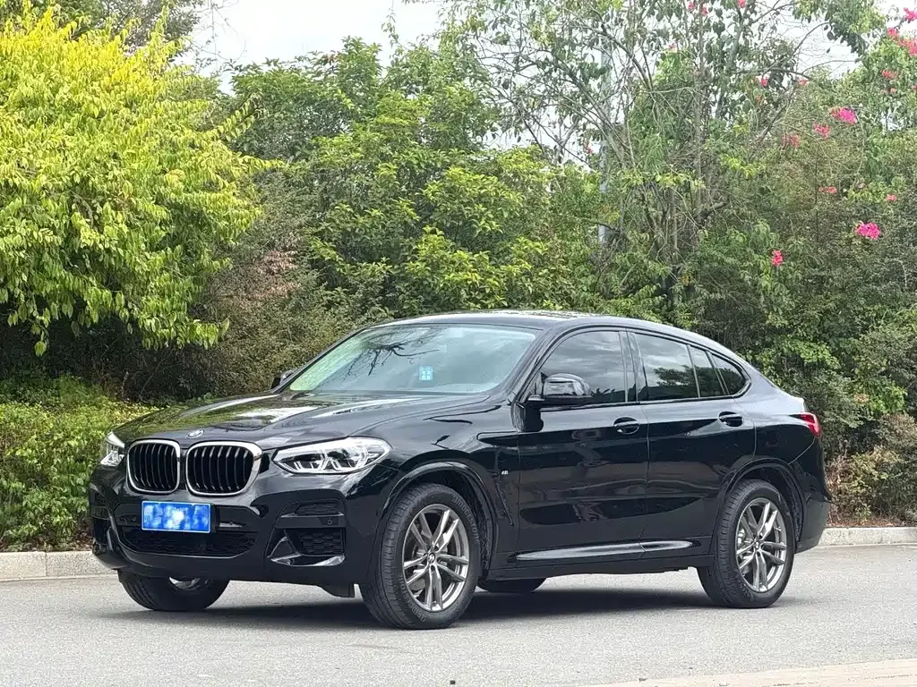 BMW X4 — фото 1
