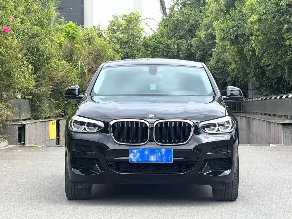 BMW X4 — фото 8