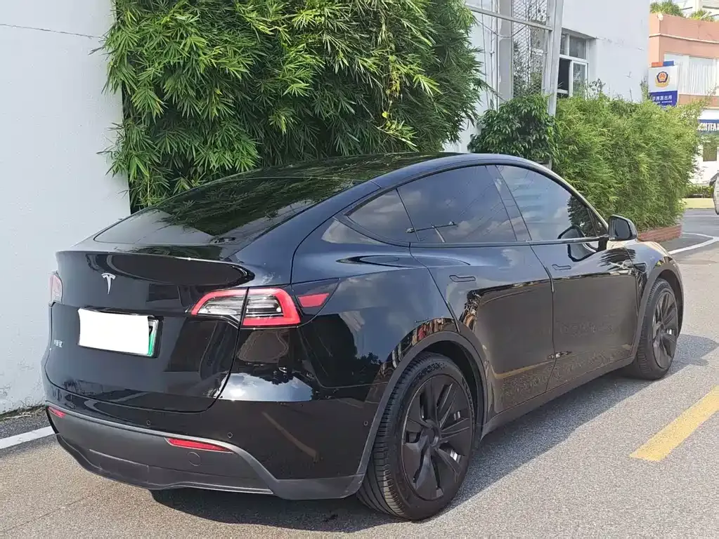 Tesla Model Y — фото 5