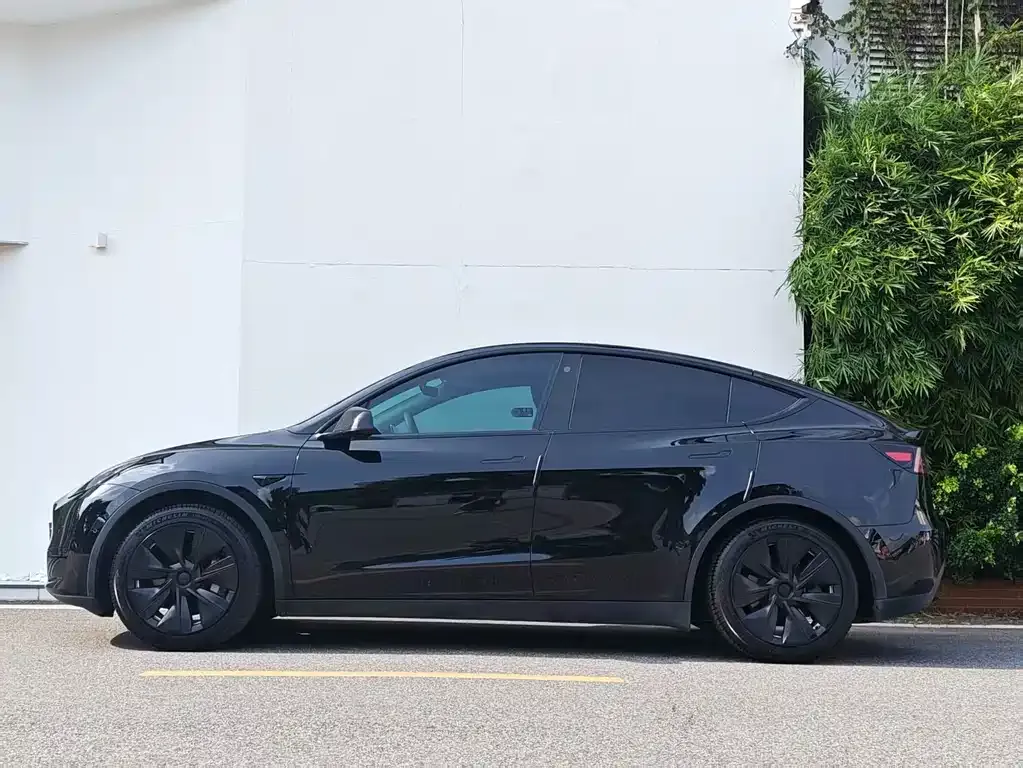 Tesla Model Y — фото 10