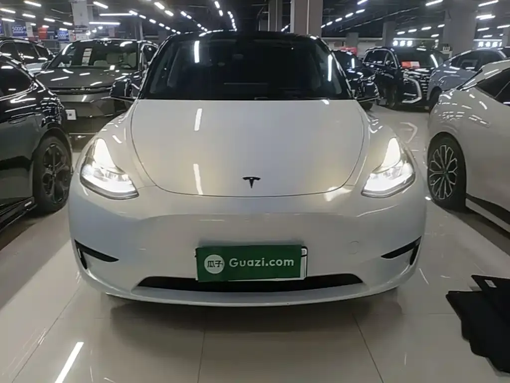 Tesla Model Y — фото 2