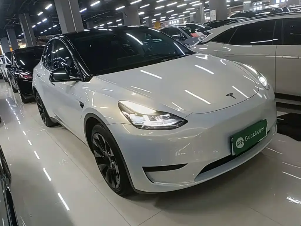 Tesla Model Y — фото 8