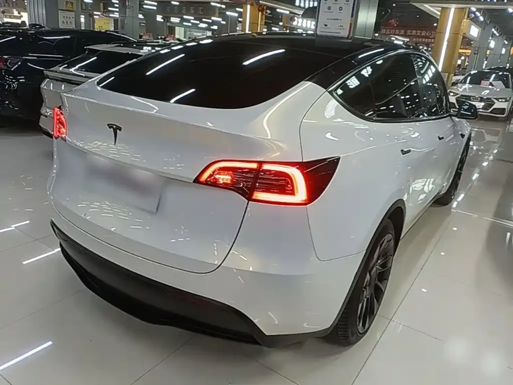 Tesla Model Y — фото 10