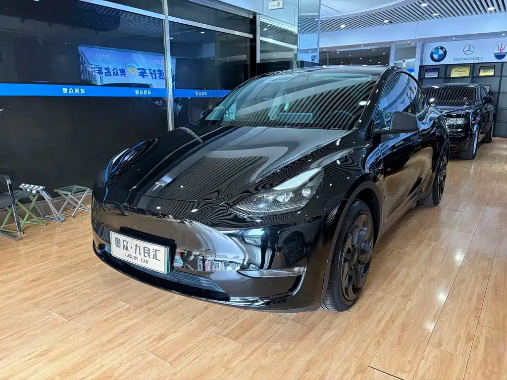 Tesla Model Y — фото 1