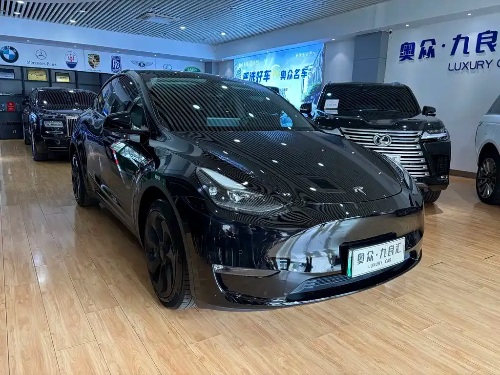 Tesla Model Y — фото 10