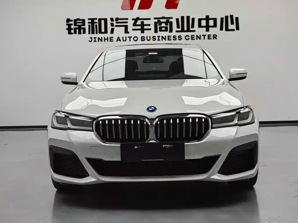 BMW 5 Series New Energy — фото 8