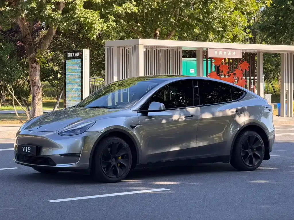 Tesla Model Y — фото 1