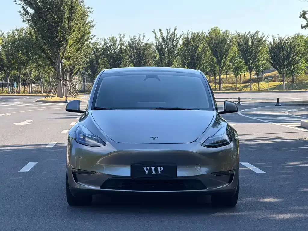 Tesla Model Y — фото 6