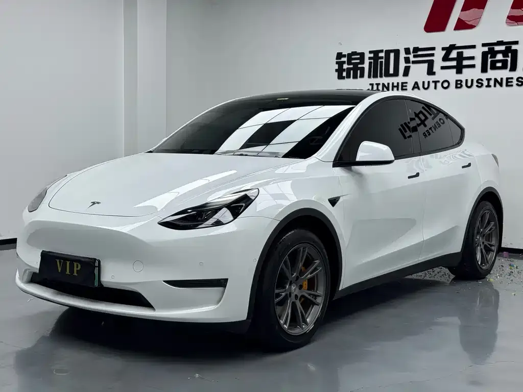 Tesla Model Y — фото 1