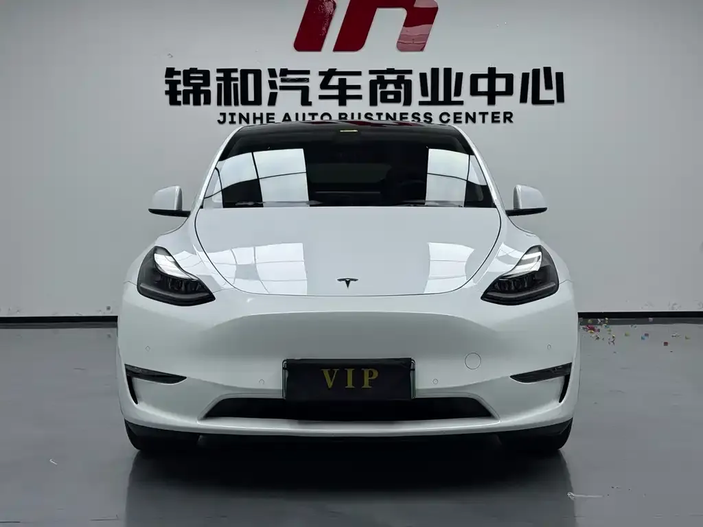 Tesla Model Y — фото 6