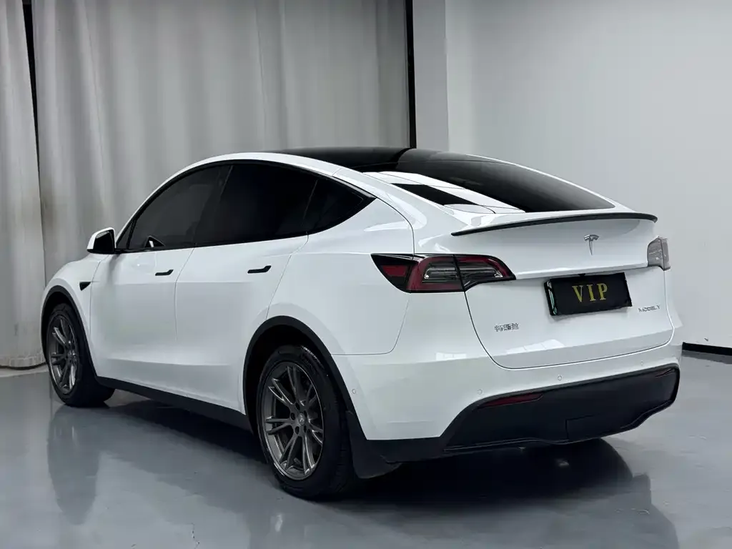 Tesla Model Y — фото 2