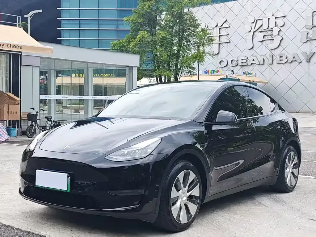 Tesla Model Y — фото 1