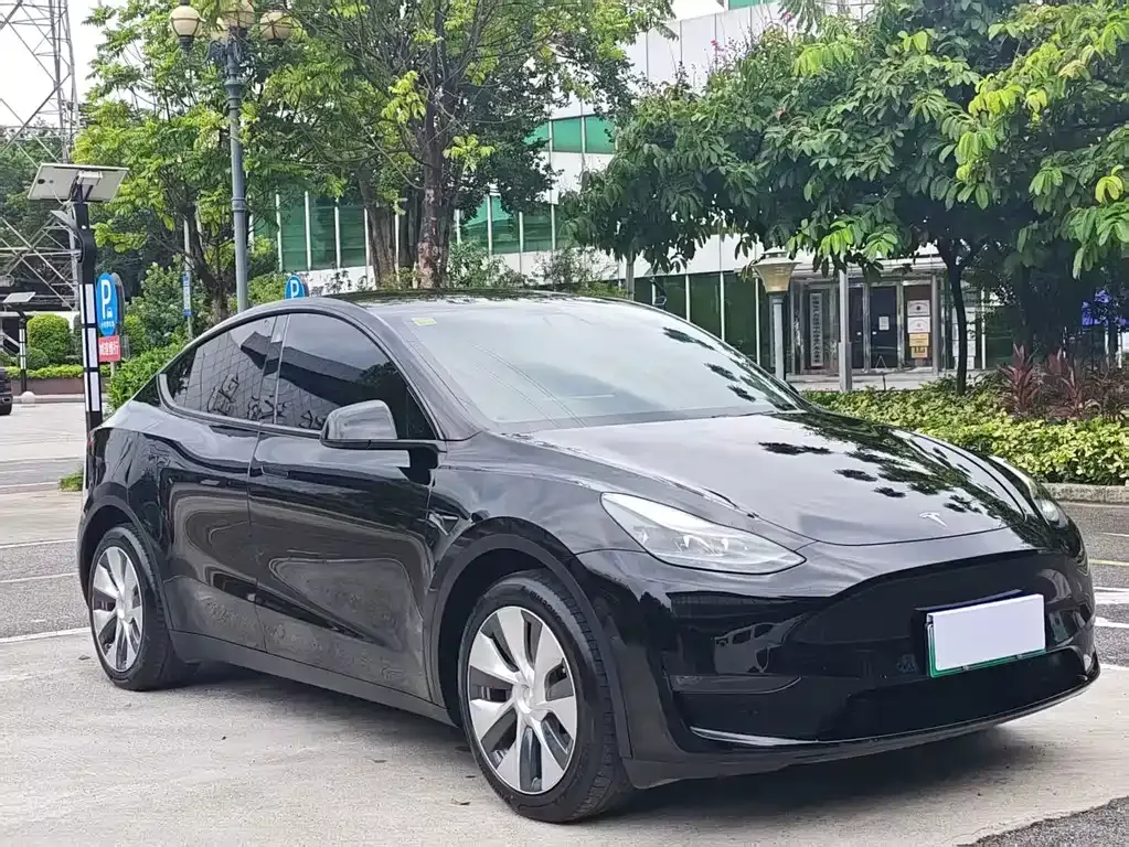 Tesla Model Y — фото 9