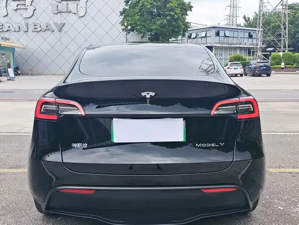 Tesla Model Y — фото 4