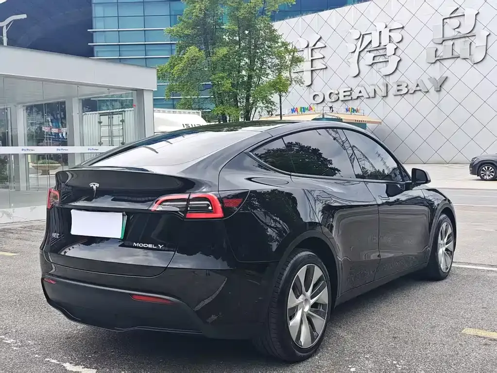 Tesla Model Y — фото 8