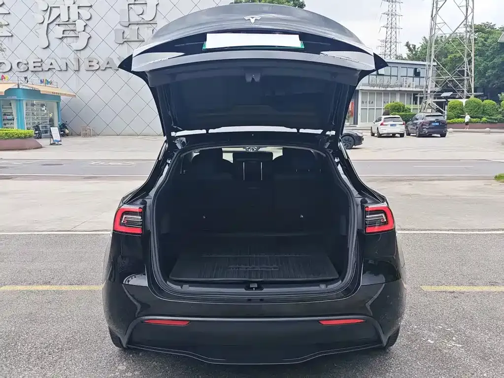 Tesla Model Y — фото 5