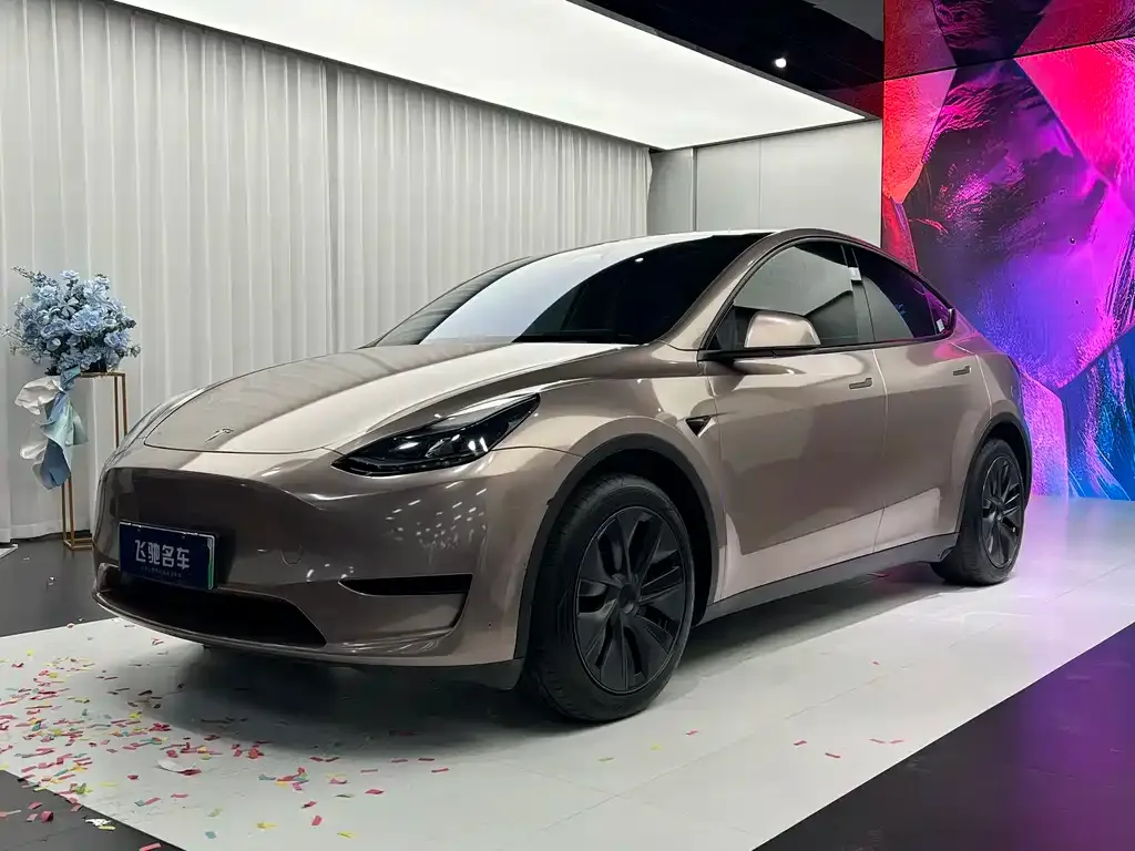 Tesla Model Y — фото 1