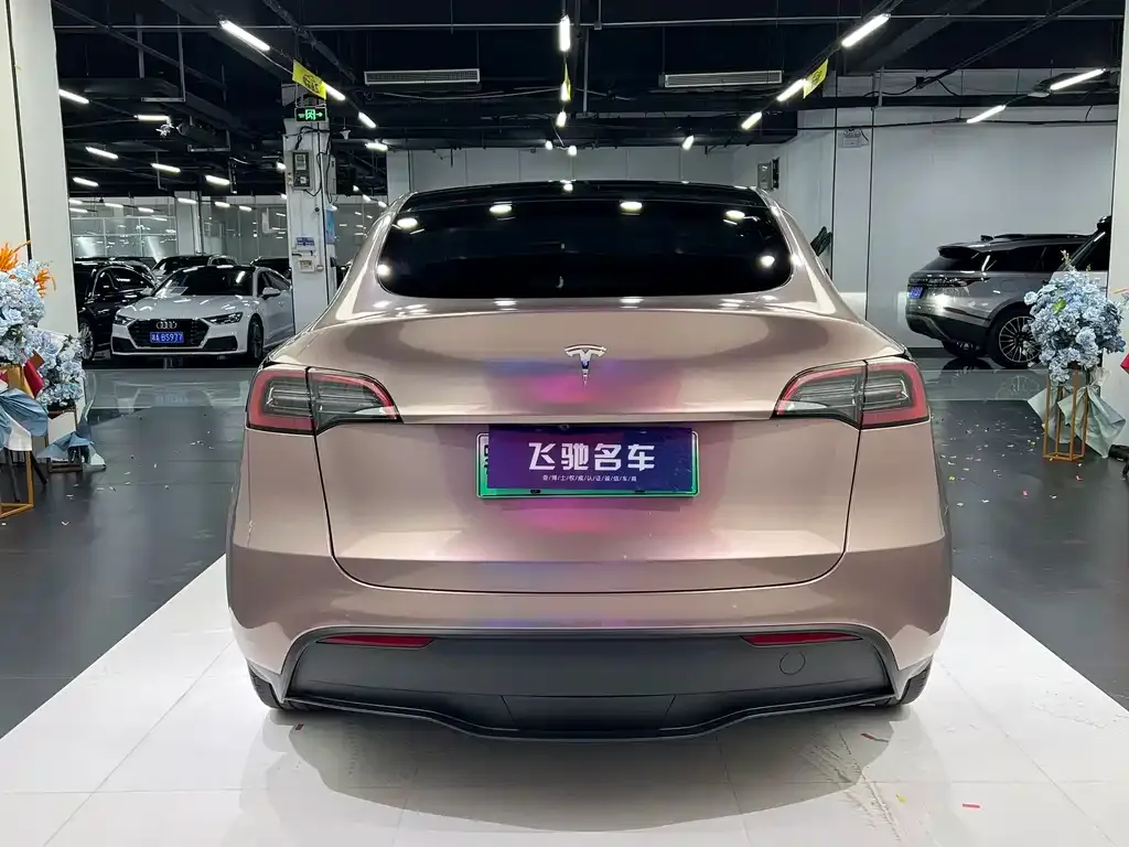 Tesla Model Y — фото 10