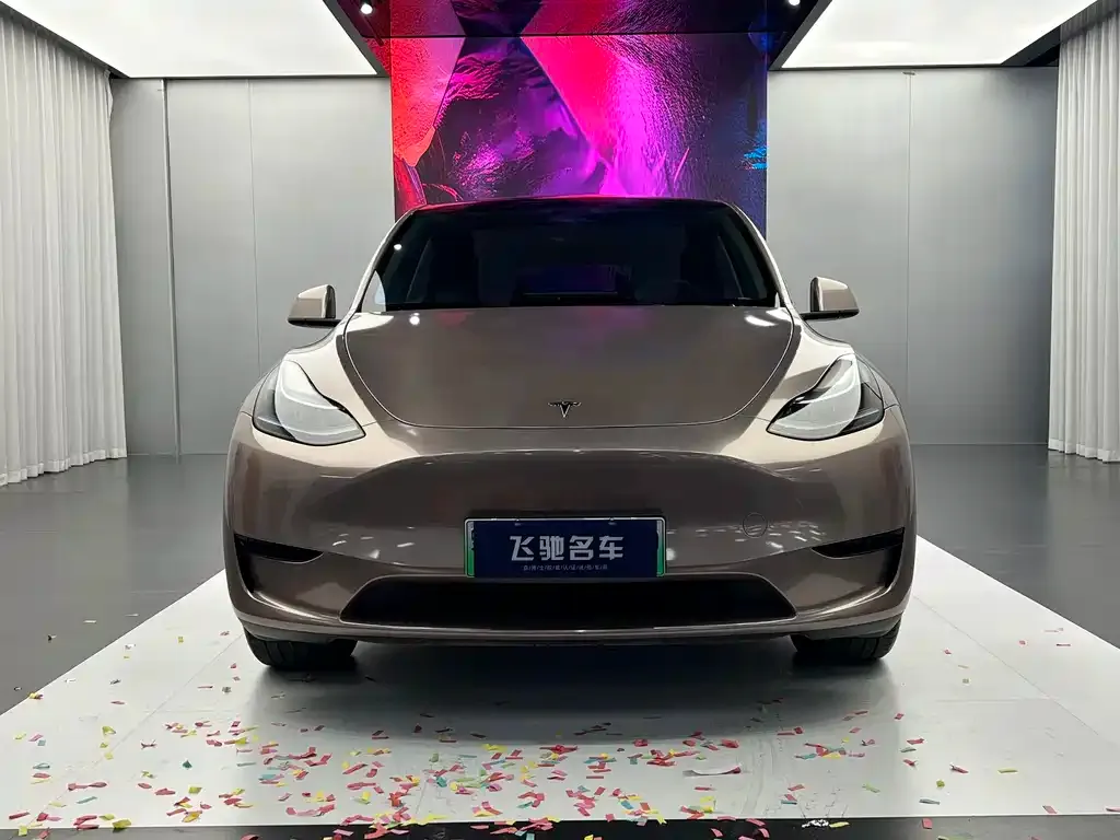 Tesla Model Y — фото 6
