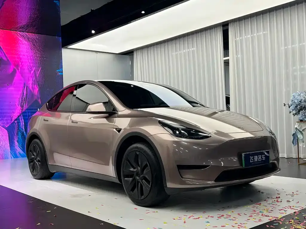 Tesla Model Y — фото 9