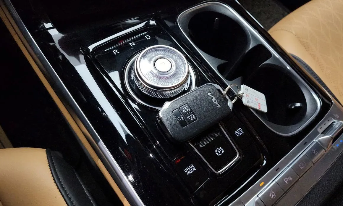 Kia Carnival — фото 10