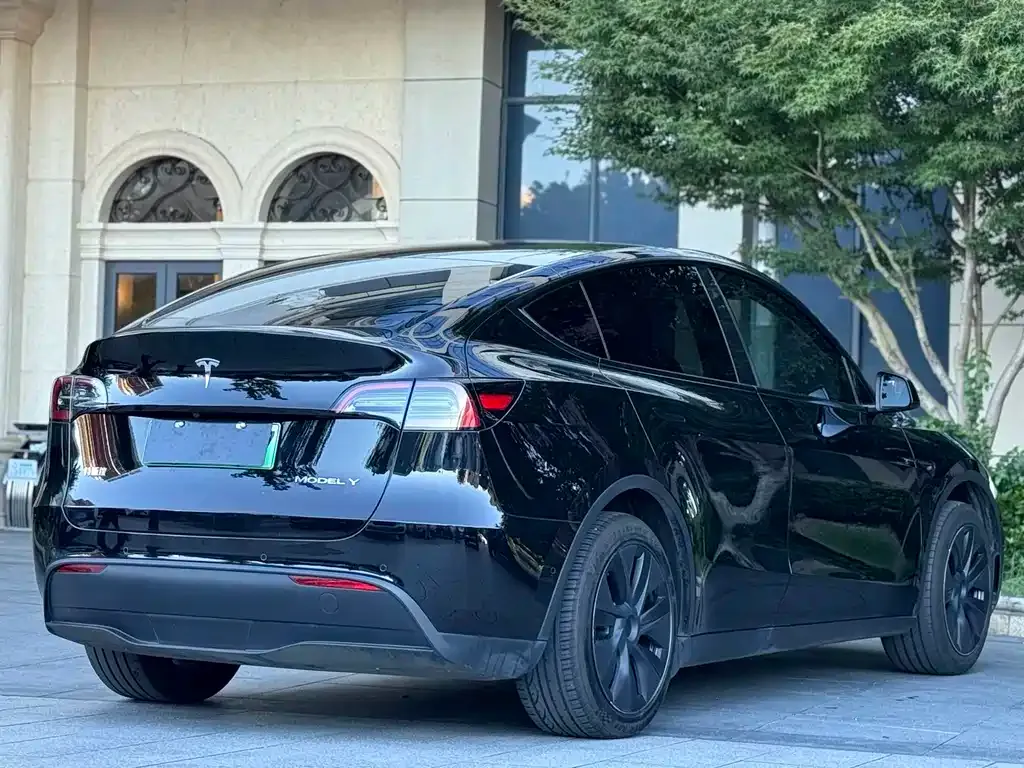Tesla Model Y — фото 9
