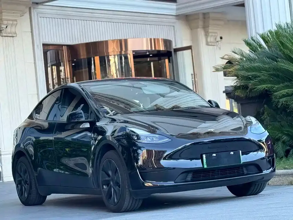 Tesla Model Y — фото 6