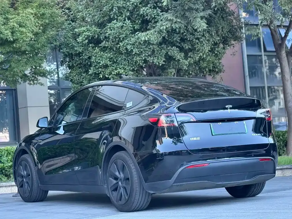 Tesla Model Y — фото 10