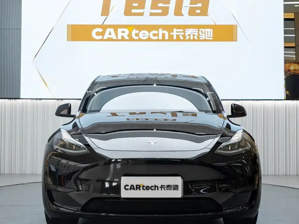 Tesla Model Y — фото 10