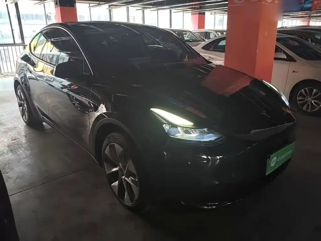 Tesla Model Y — фото 10