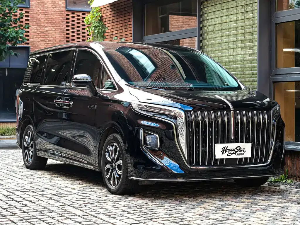 Hongqi HQ9 — фото 8
