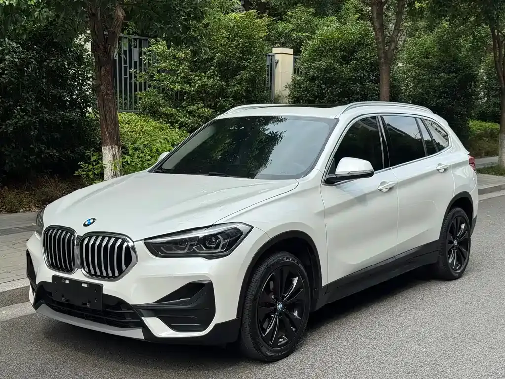 BMW X1 — фото 1