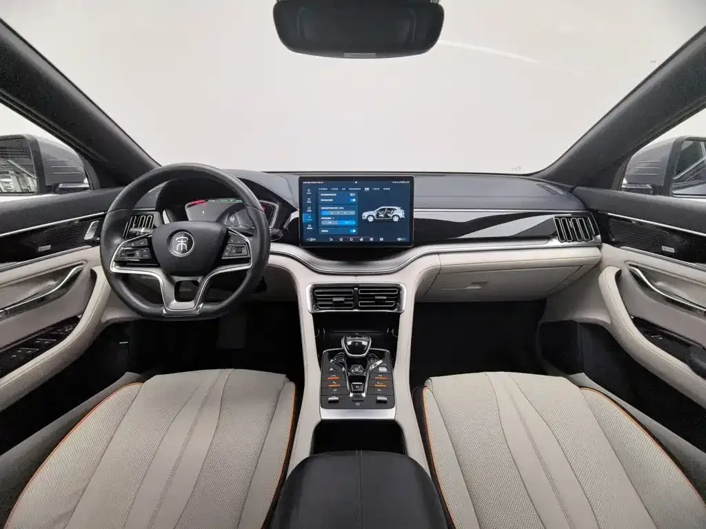 BYD PLUS New Energy — фото 9