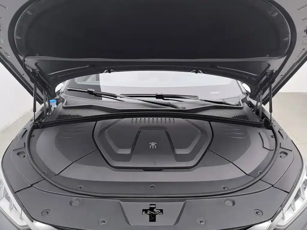 BYD PLUS New Energy — фото 8