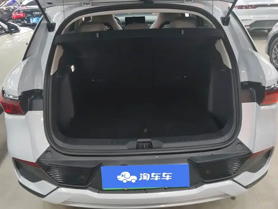 BYD Yuan Plus — фото 10