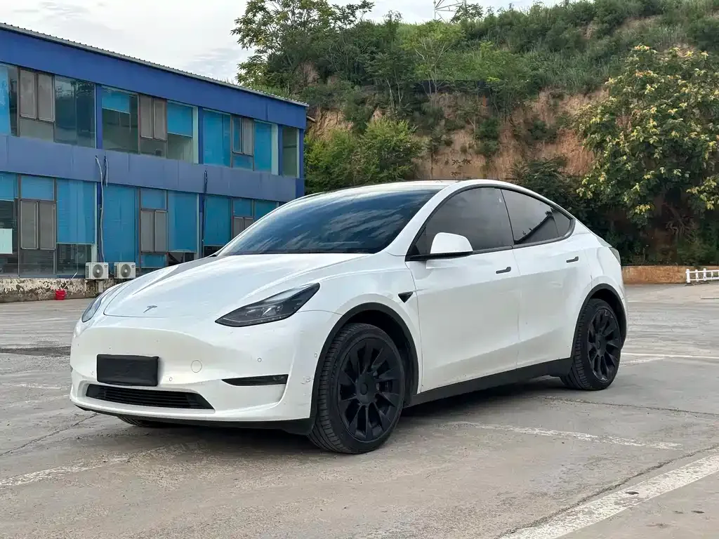 Tesla Model Y — фото 1