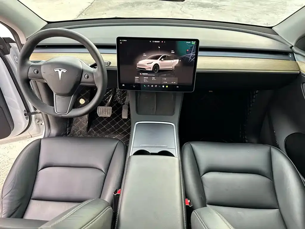 Tesla Model Y — фото 6