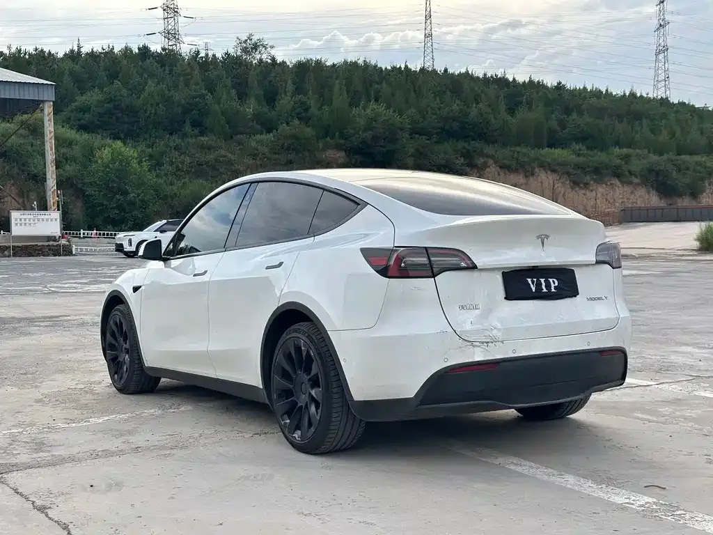 Tesla Model Y — фото 8