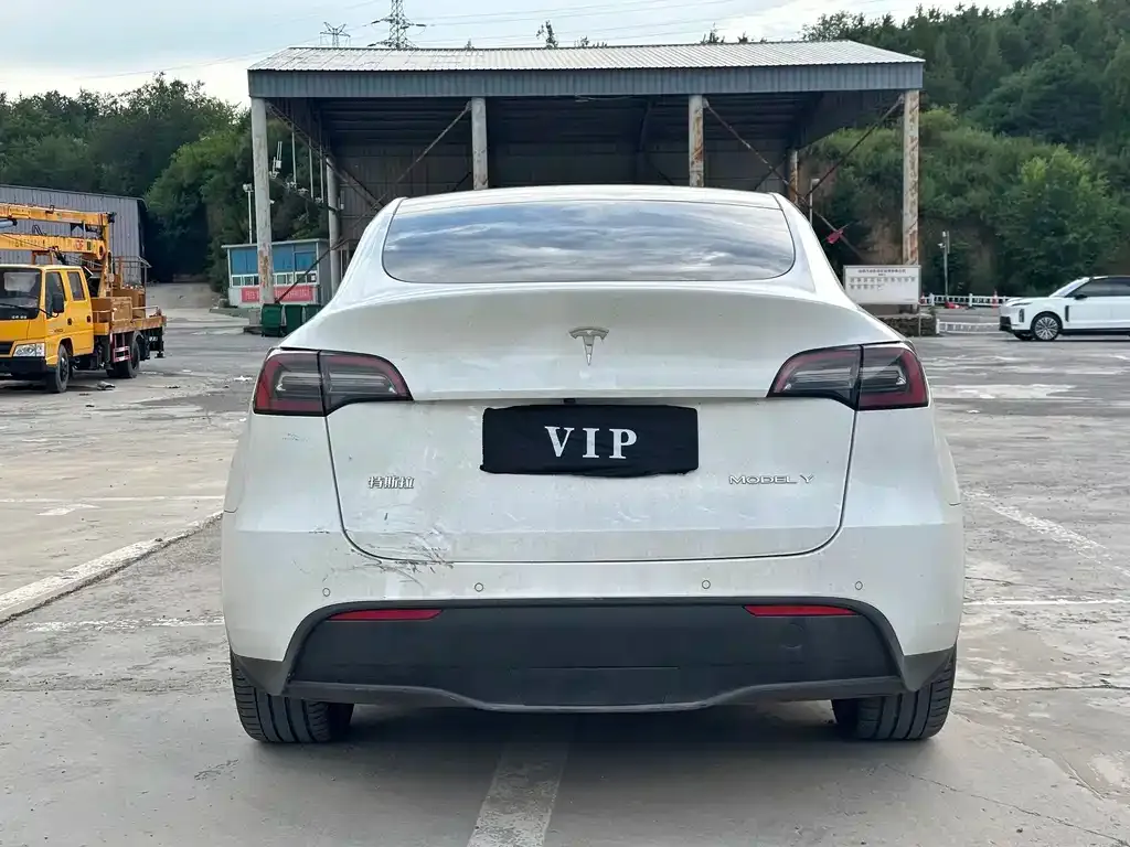 Tesla Model Y — фото 3