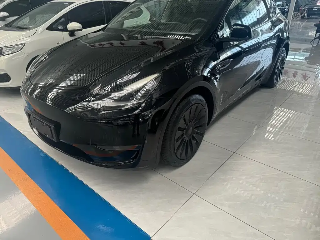 Tesla Model Y — фото 5