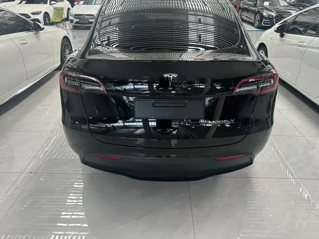 Tesla Model Y — фото 8