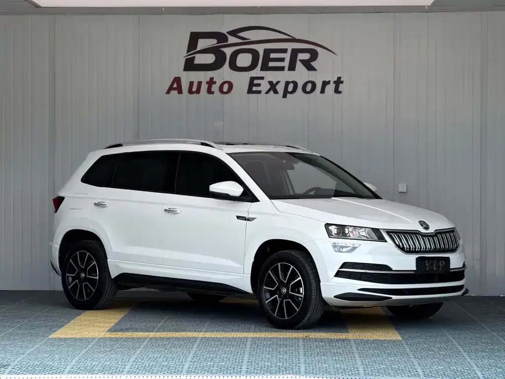 Skoda Karoq — фото 9