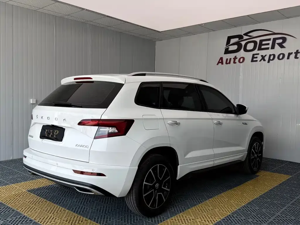 Skoda Karoq — фото 10