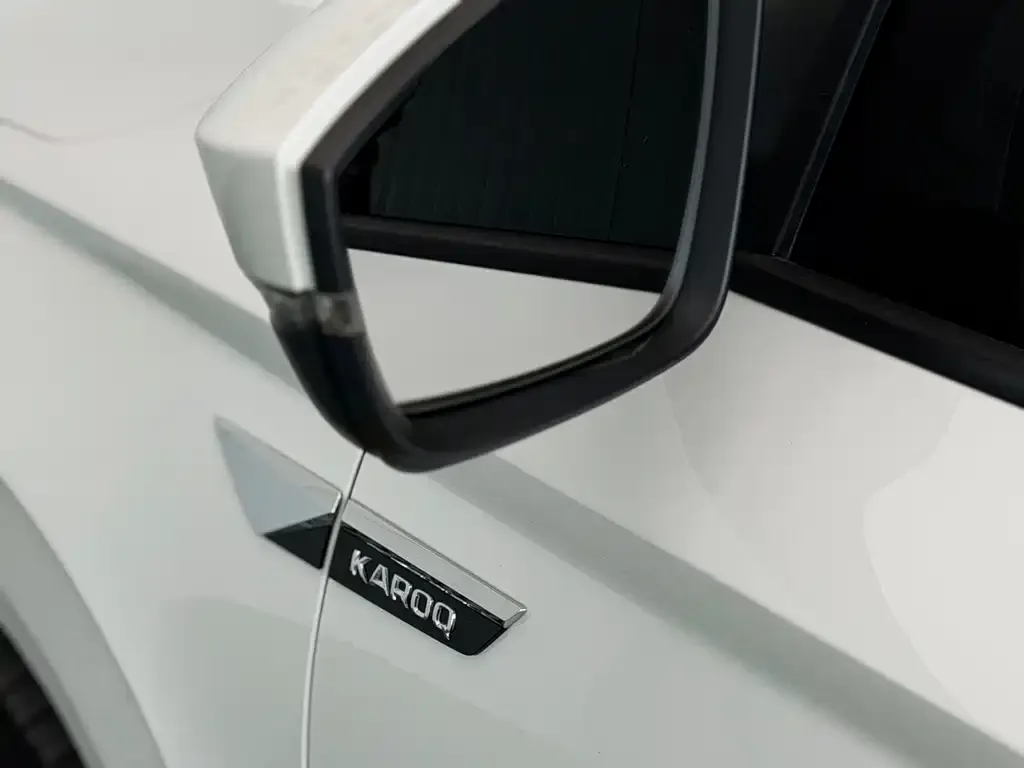 Skoda Karoq — фото 6