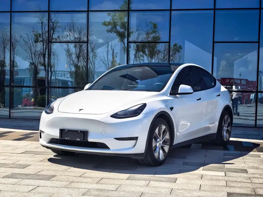 Tesla Model Y — фото 1