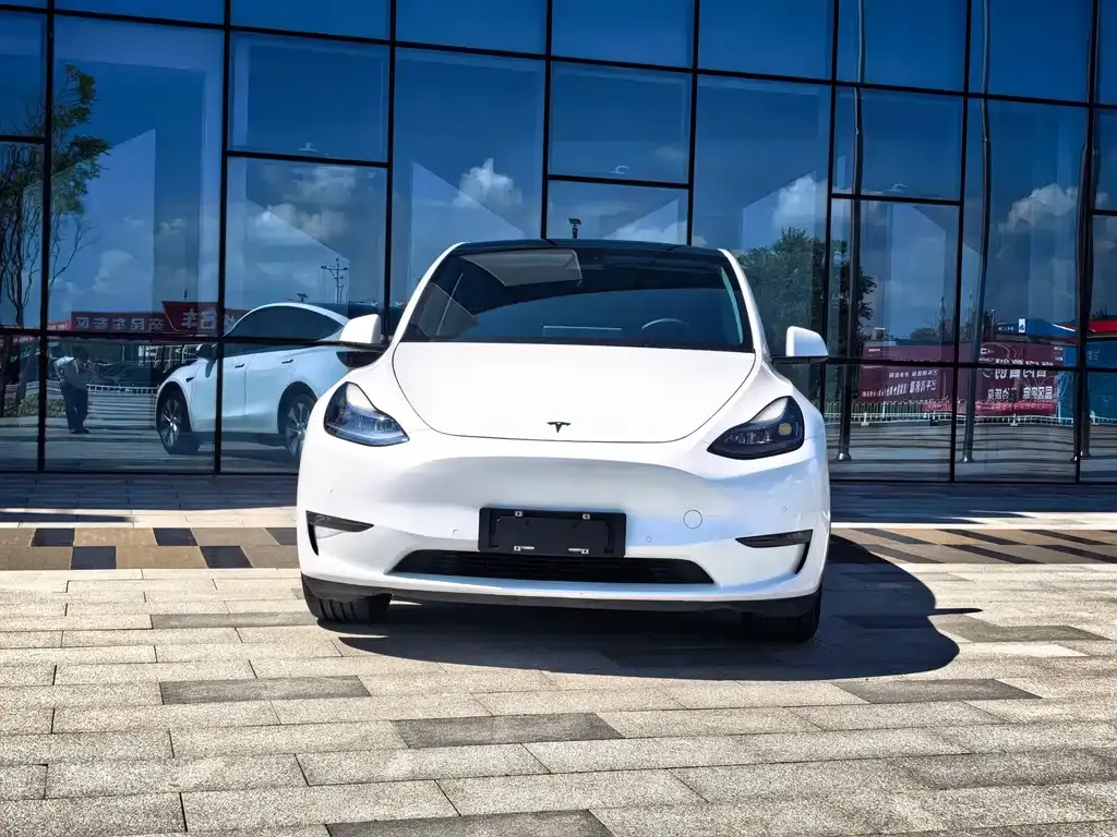 Tesla Model Y — фото 10
