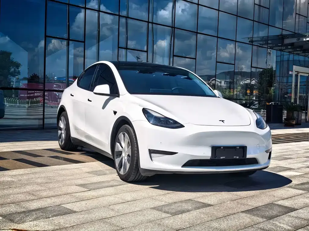 Tesla Model Y — фото 9