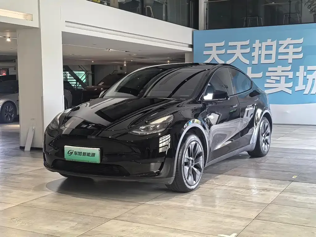 Tesla Model Y — фото 1